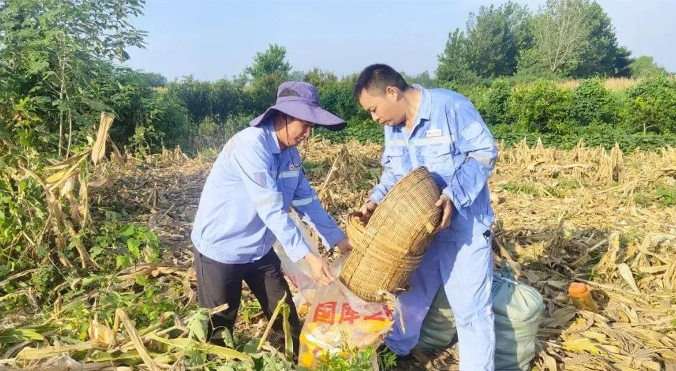 新材料公司：正是丰收好时节，志愿助农暖人心(图3)